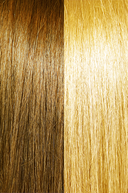 #10/16 – Wheat Brown/Light Honey Blonde