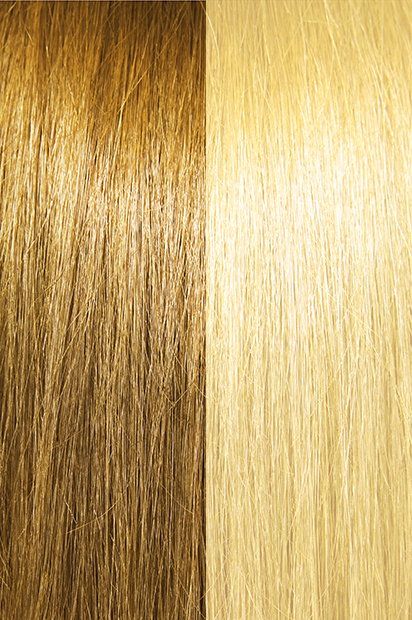 #14/22 – Ashier Wheat Brown/Light Golden Blonde