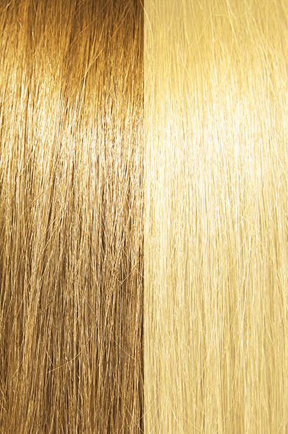 #18/22 – Honey Ash Wheat Brown/Light Golden Blonde
